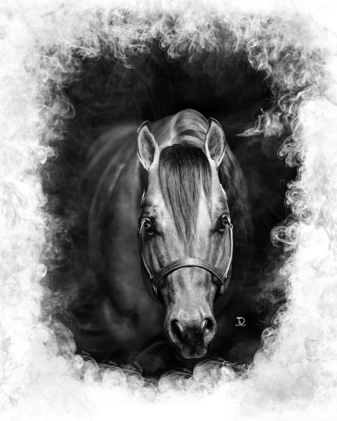 TD200147BW final3.png